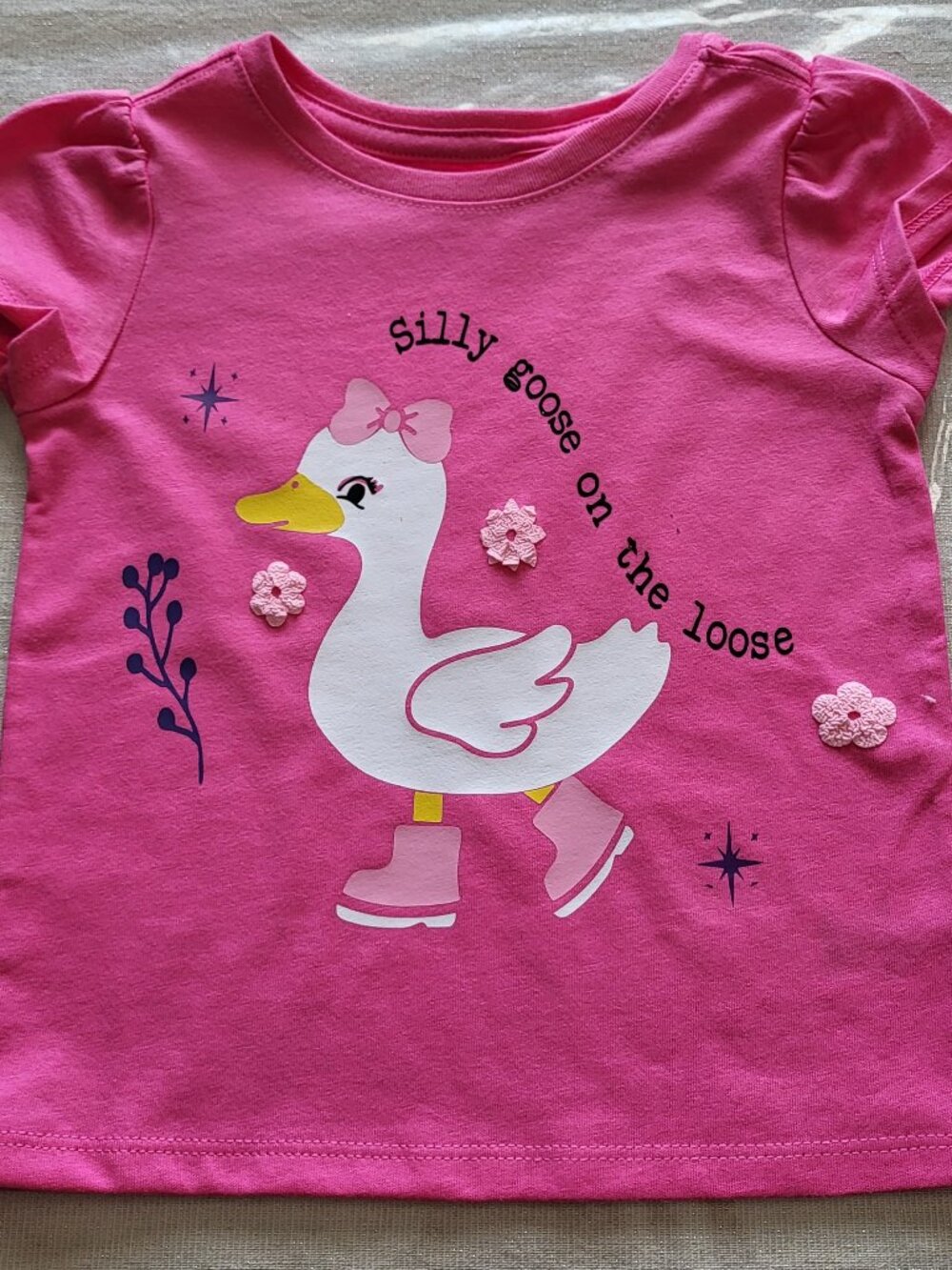 Girl "Silly Goose on the Loose" Custom Pink T-Shirt